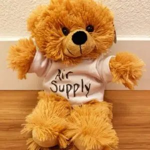 Air Supply Baby Bear Plush – 12” Soft Hypoallergenic Teddy Bear